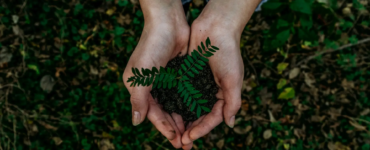 noah-buscher-x8ZStukS2PM-unsplash